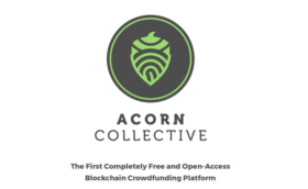 acorn collective