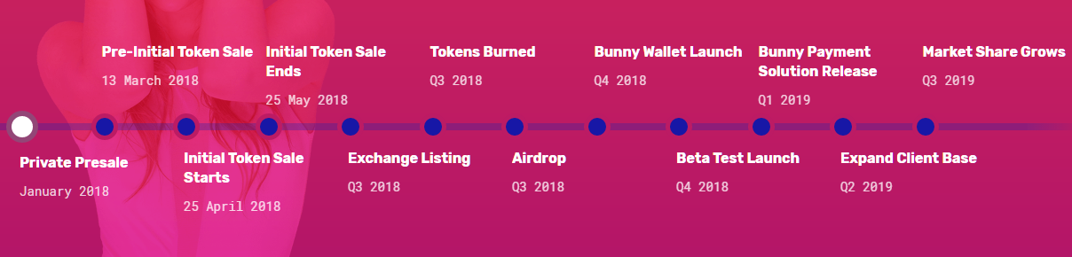 bunnytoken roadmap